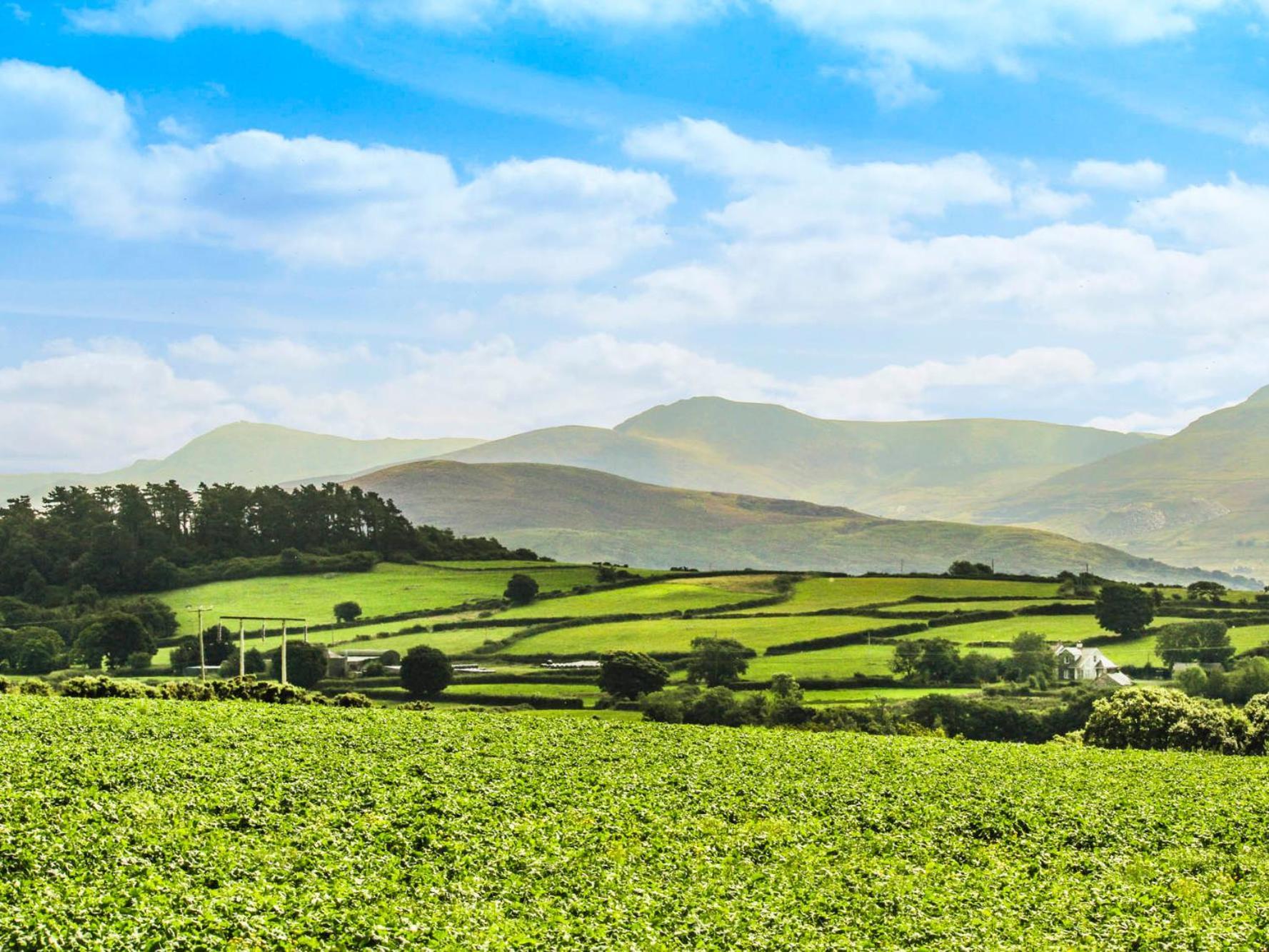 Coed Bolyn Lodge Llanddeiniolen Екстер'єр фото